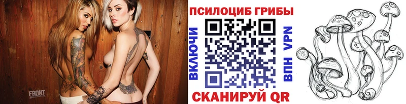 Купить  Свирск  Псилоцибиновые грибы MAGIC MUSHROOMS 